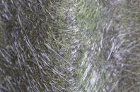 Tresinney fibreglass roof work